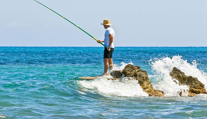 8 Best Surf Fishing Rods In 2023  Reviewed by Fishing Enthusiasts